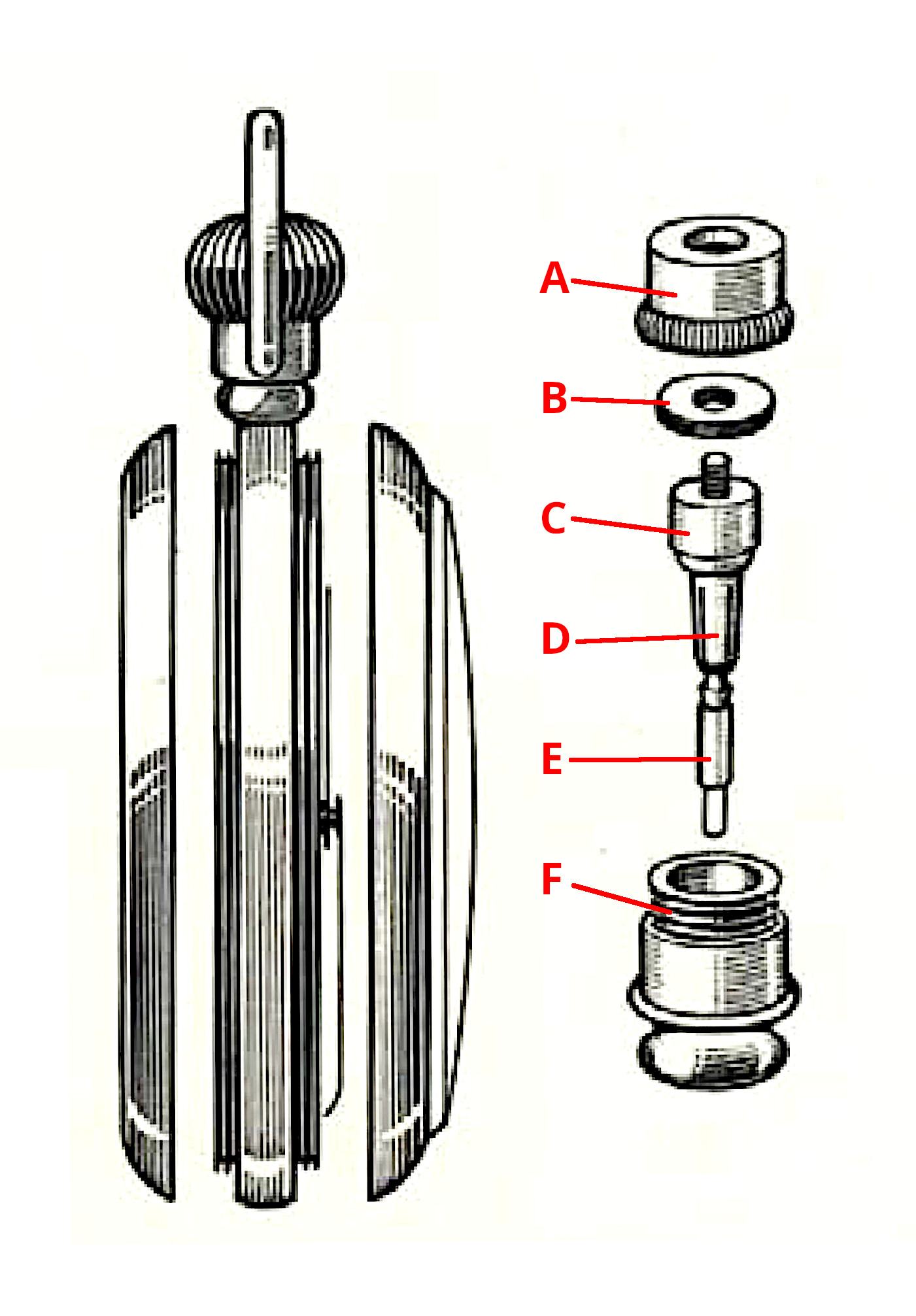 Dennison Screw Back and Bezel