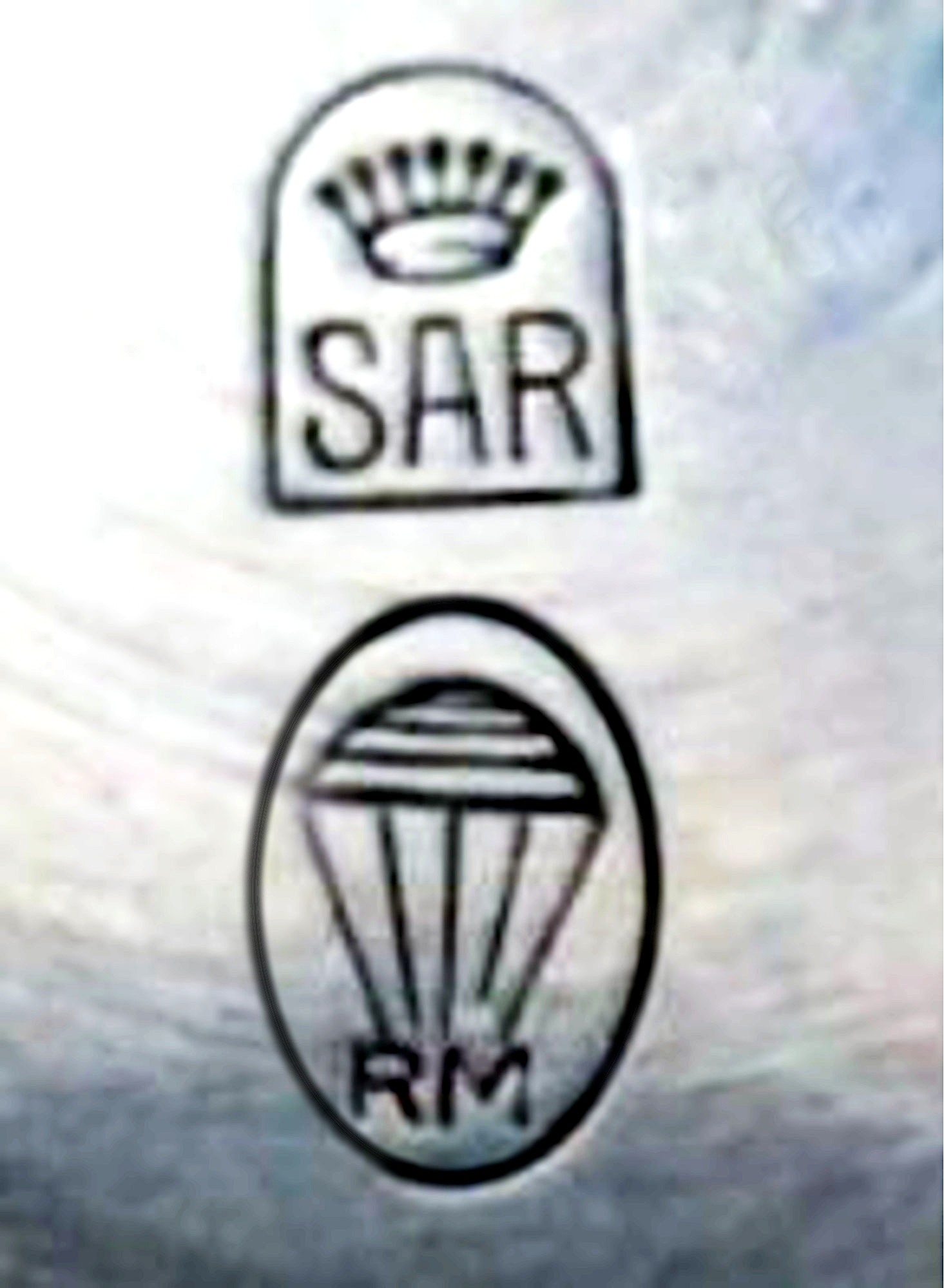 SAR with Robert Meylan parachute trademark